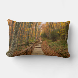 Path through the autumn forest. lumbar cushion