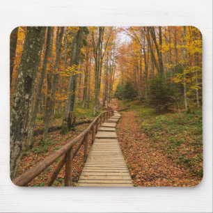 Path through the autumn forest. mouse pad