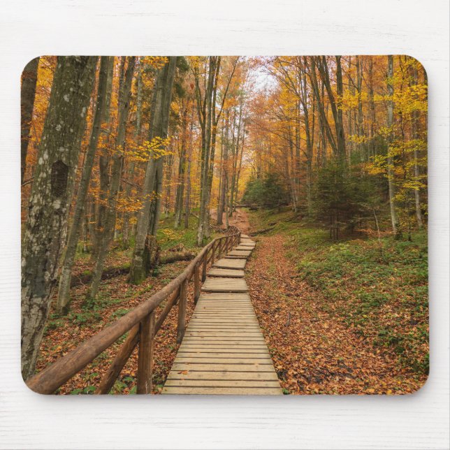 Path through the autumn forest. mouse pad (Front)