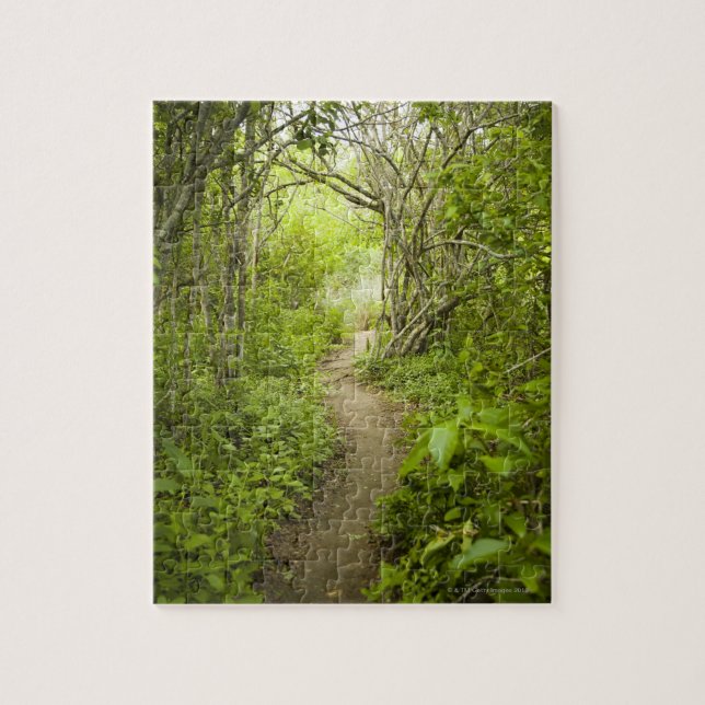 Path through the forest jigsaw puzzle (Vertical)