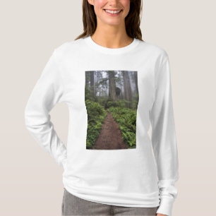 Path through the giant redwood trees shrouded 2 T-Shirt