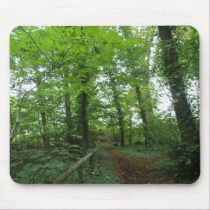 Path through the Green Forest Mousepad