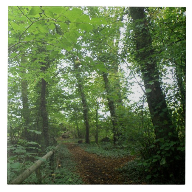 Path through the Green Forest Tile (Front)