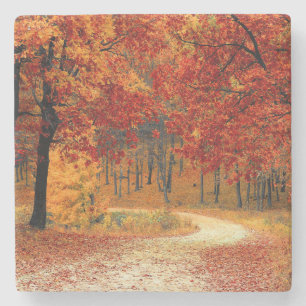 Path Through the Trees in Autumn Stone Coaster