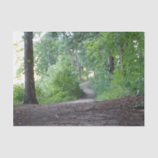 Path thru a forrest tissue paper