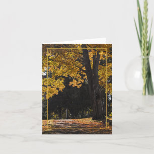 Path To Comfort Card