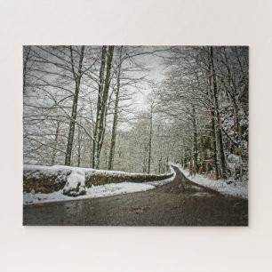 Path to Dreamland - German Forest - 16x20 - 520 pc Jigsaw Puzzle