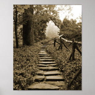 Path To Light Poster
