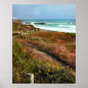 Path to Ocean Shoreline Poster