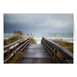Path to Sea in Florida