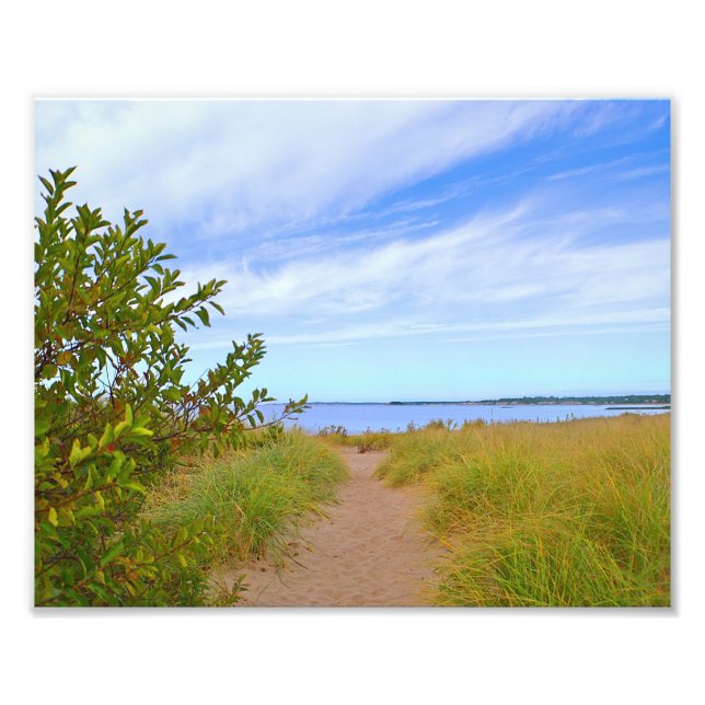 Path To The Beach Photo Print (Front)