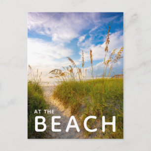 Path to the Beach Postcard