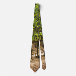 Path To The Bridge Neck Tie