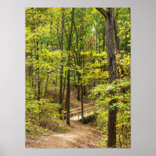 Path To The Bridge Poster
