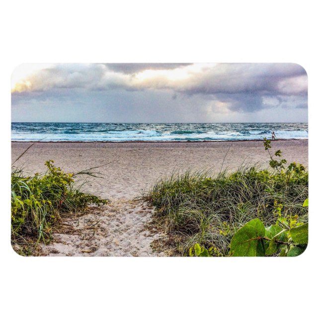 Path to the Ocean Magnet (Horizontal)