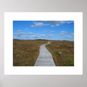 Path to the Sky Poster