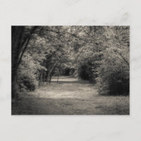 Path to the Unknown