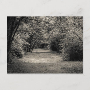 Path to the Unknown Postcard