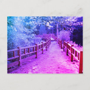 Path Unknown Postcard