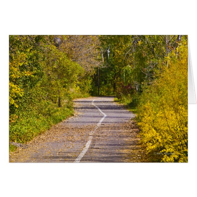 Pathway (Front Horizontal)