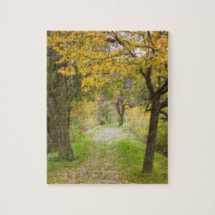 Pathway in Autumn Jigsaw Puzzle