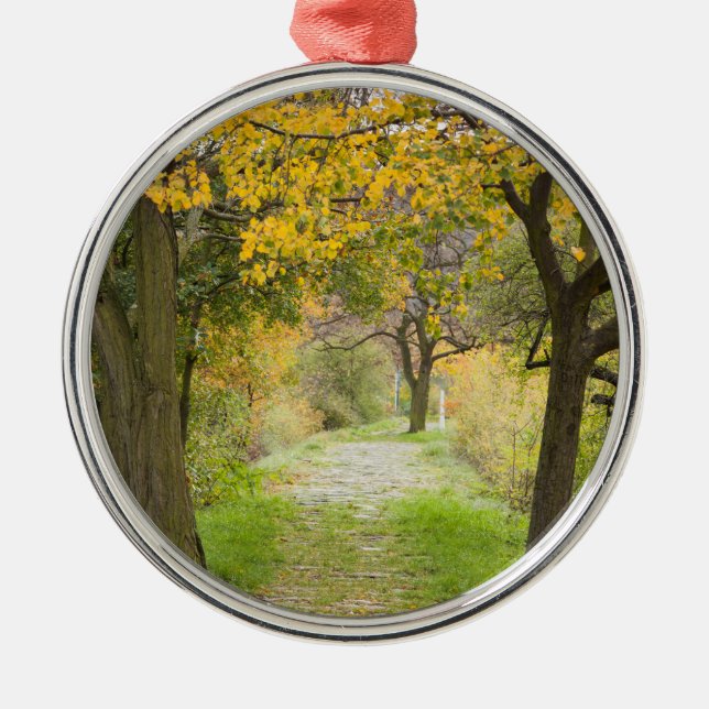 Pathway in Autumn Metal Tree Decoration (Front)