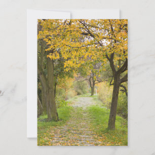 Pathway in Autumn Thank You Card