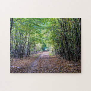 Pathway in the autumn forest, Saint Germain Forest Jigsaw Puzzle