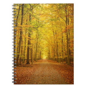 Pathway in the autumn forest spiral notebook