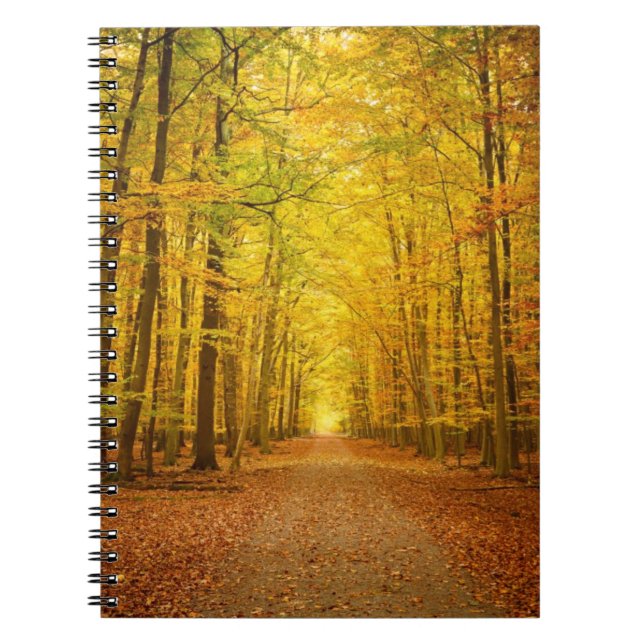 Pathway in the autumn forest spiral notebook (Front)
