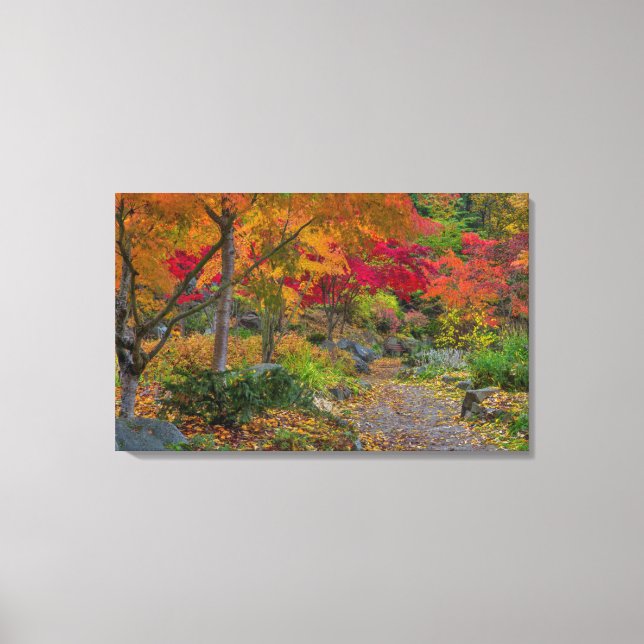 Pathway leads to park bench canvas print (Front)