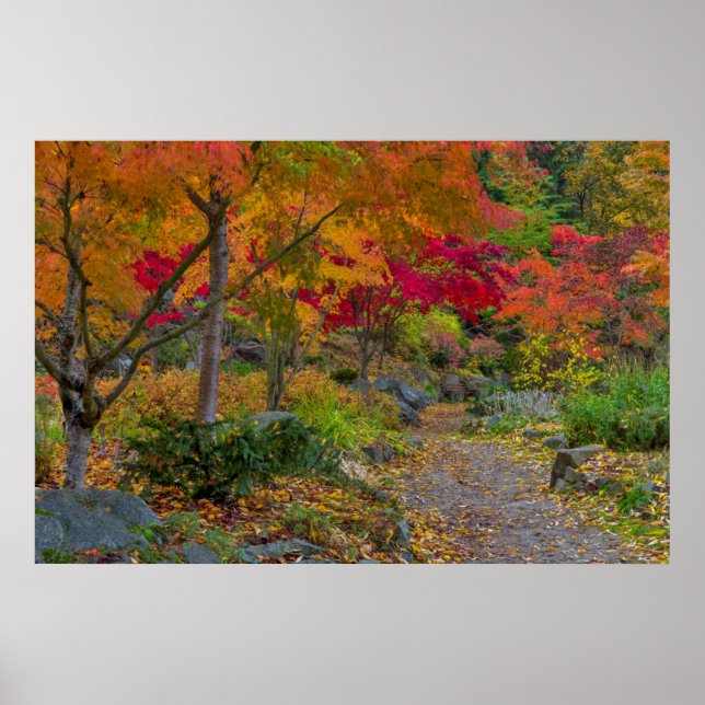 Pathway leads to park bench poster (Front)
