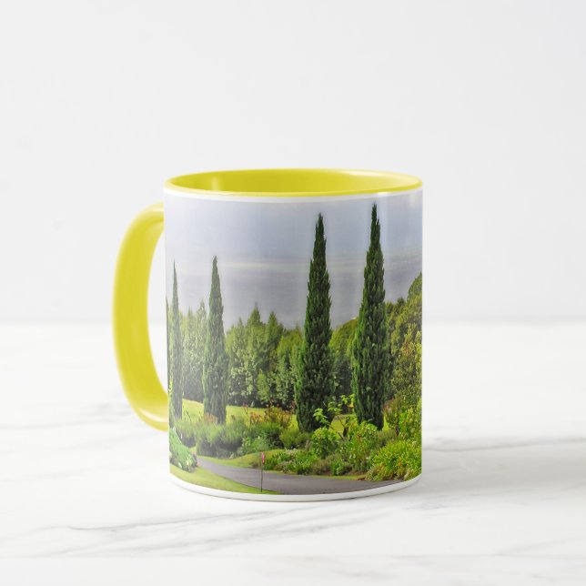 PATHWAY LINED WITH CYPRESS TREES MUG (Front Left)