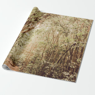 PATHWAY SURROUNDED WITH TALL AND GREEN TREES WRAPPING PAPER