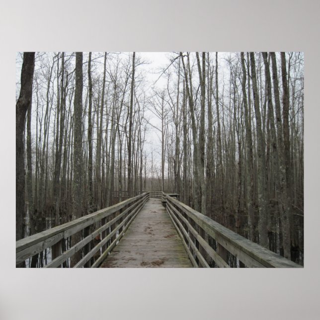 Pathway Through the Wilderness Poster (Front)