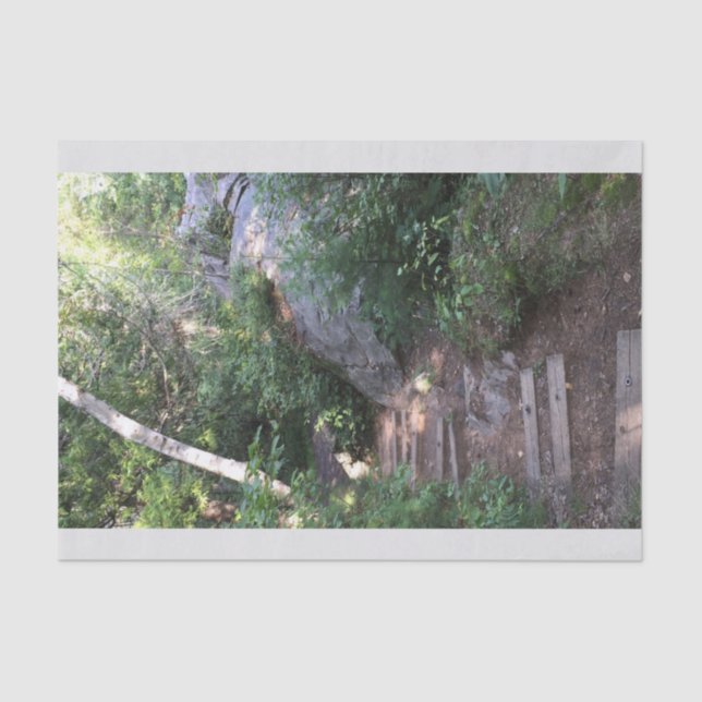 Pathway Through Trees Tissue Paper (Front)