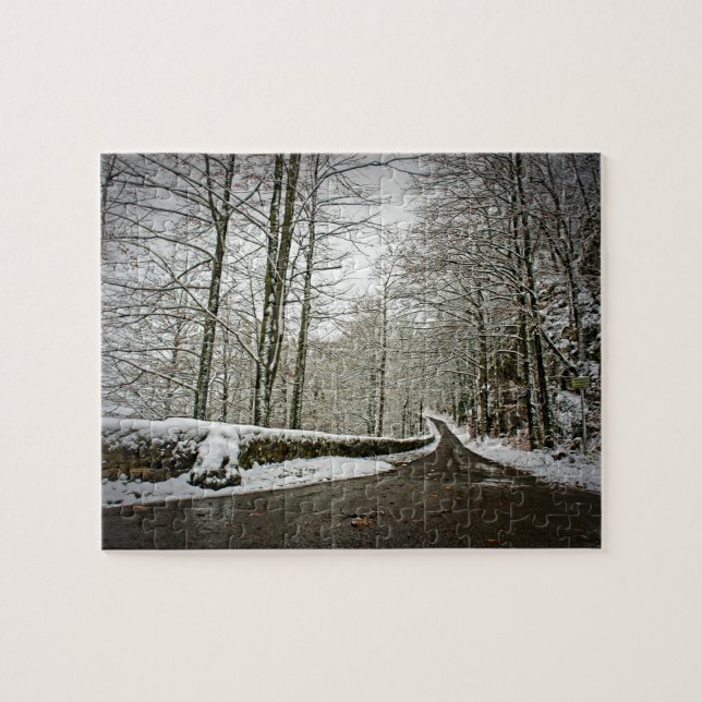 Pathway to Dreamland -German Forest- 8x10 -110 pc Jigsaw Puzzle (Horizontal)