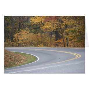 Pathways of Life