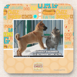Patience, Grasshopper. Coaster