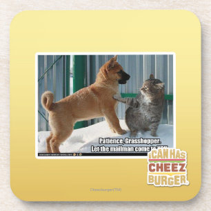 Patience, Grasshopper. Coaster