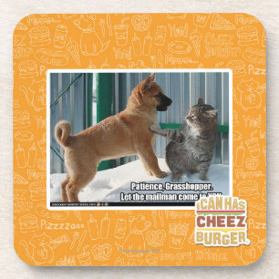 Patience, Grasshopper. Coaster