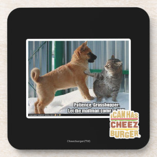 Patience, Grasshopper. Coaster