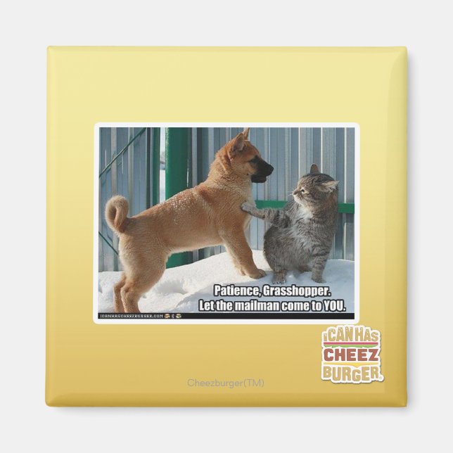Patience, Grasshopper. Magnet (Front)