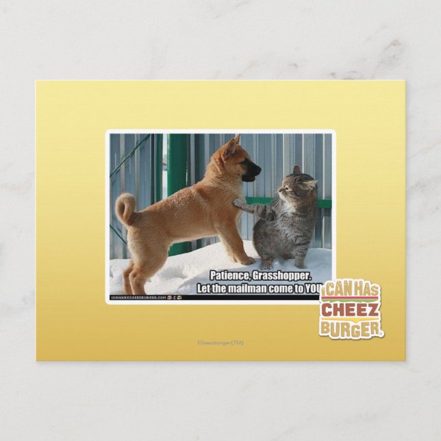 Patience, Grasshopper. Postcard (Front)