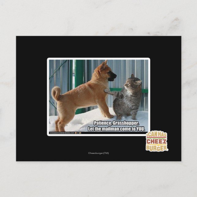 Patience, Grasshopper. Postcard (Front)