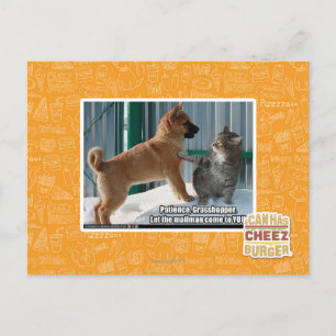 Patience, Grasshopper. Postcard