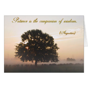Patience is the companion of wisdom