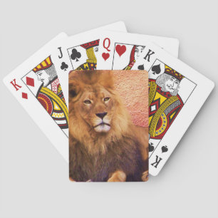 Patience_ Playing Cards