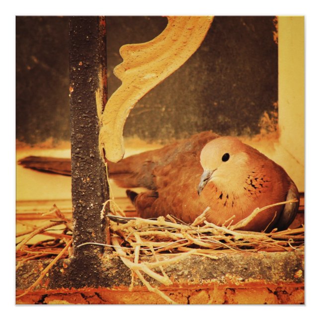 Patience Poster (Front)