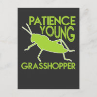 Patience Young Grasshopper Funny Novelty